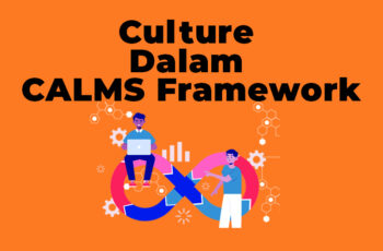 CALMS Framework : Culture